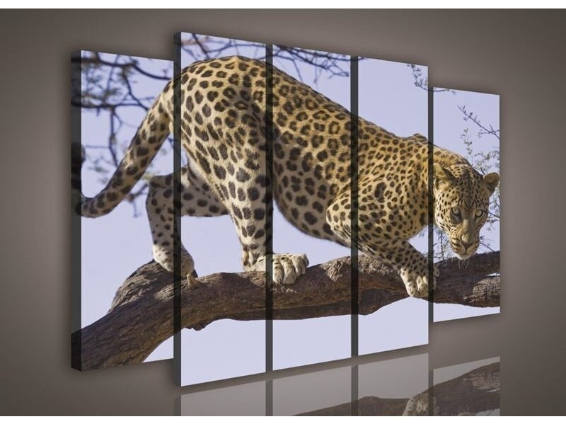 Paveikslas 1136 S12 Paveikslas 1136 S12