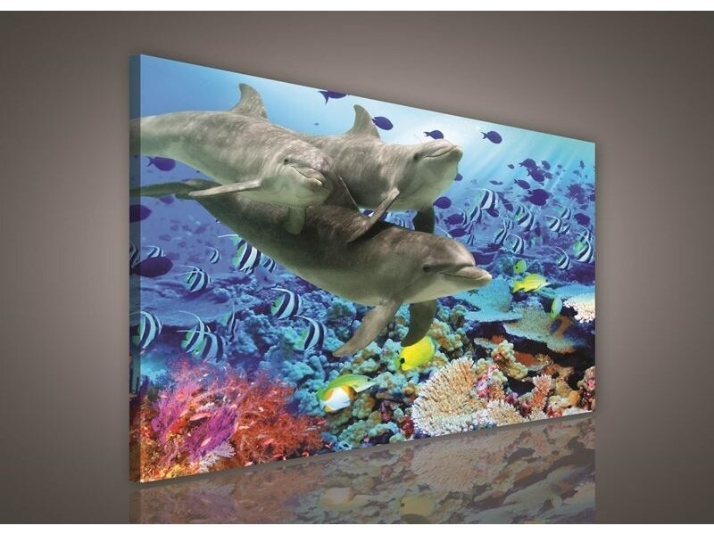 Paveikslas 0116 O1 Paveikslas 0116 O1