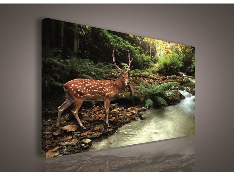 Paveikslas 0122 O1 Paveikslas 0122 O1