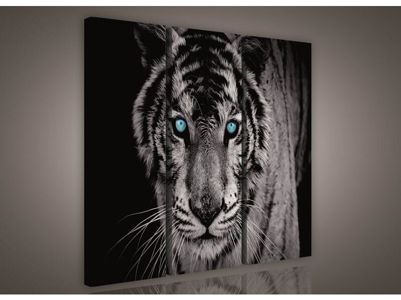 Paveikslas 0130A S6 Paveikslas 0130A S6