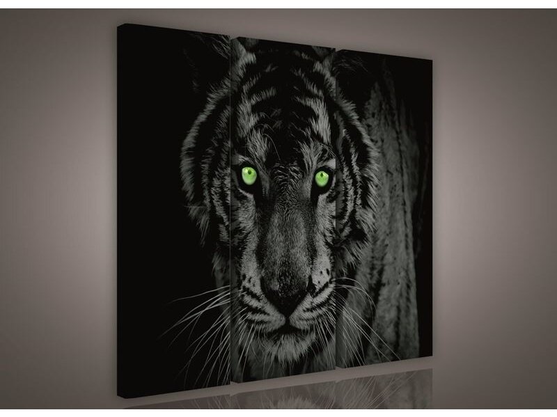 Paveikslas 0130B S6 Paveikslas 0130B S6