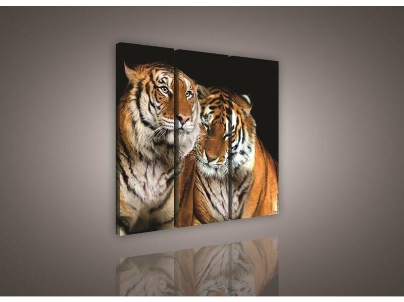 Paveikslas 0131 S6 Paveikslas 0131 S6