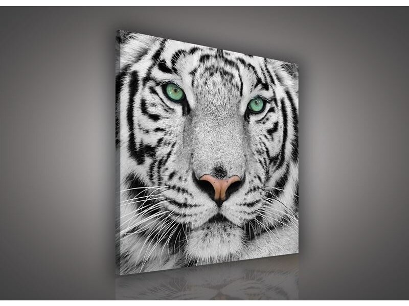 Paveikslas 1364 O2 Paveikslas 1364 O2