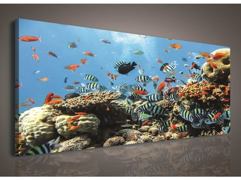 Paveikslas 0146 O3 Paveikslas 0146 O3