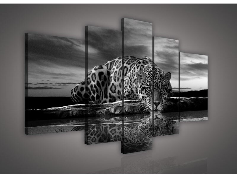 Paveikslas 0171 S4A Paveikslas 0171 S4A