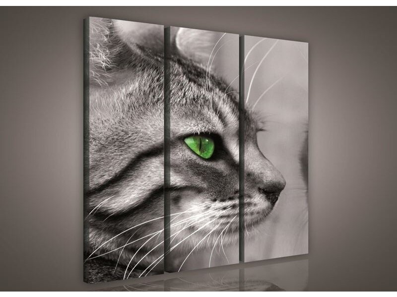 Paveikslas 0181 S6 Paveikslas 0181 S6