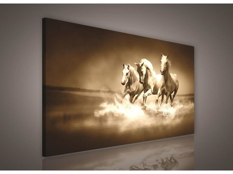 Paveikslas 0191 O1 Paveikslas 0191 O1