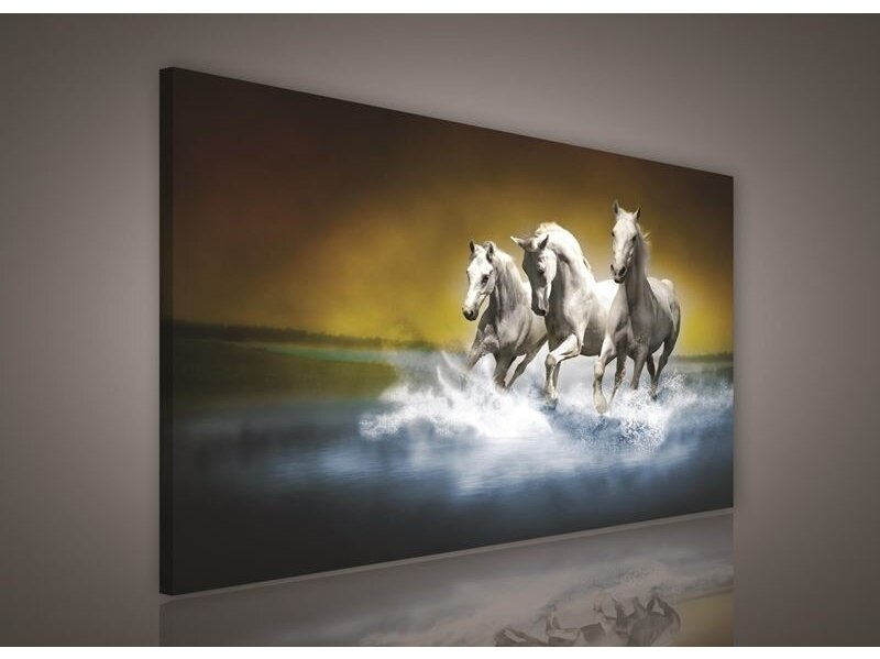 Paveikslas 0300 O1 Paveikslas 0300 O1