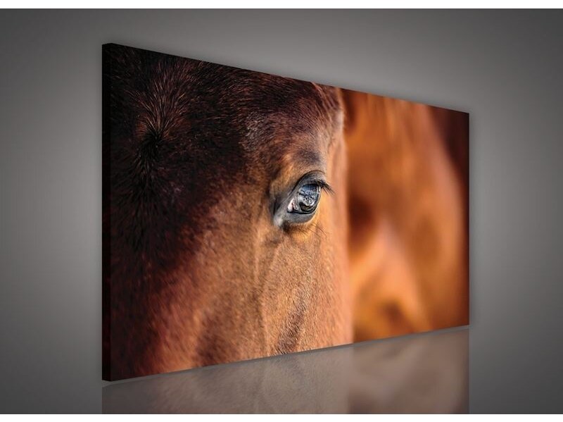 Paveikslas 0495 O1 Paveikslas 0495 O1