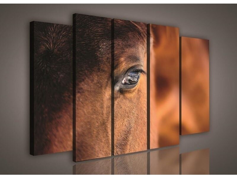 Paveikslas 0495 S12 Paveikslas 0495 S12