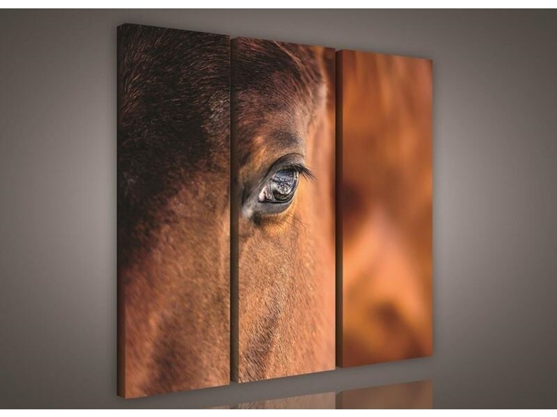 Paveikslas 0495 S6 Paveikslas 0495 S6