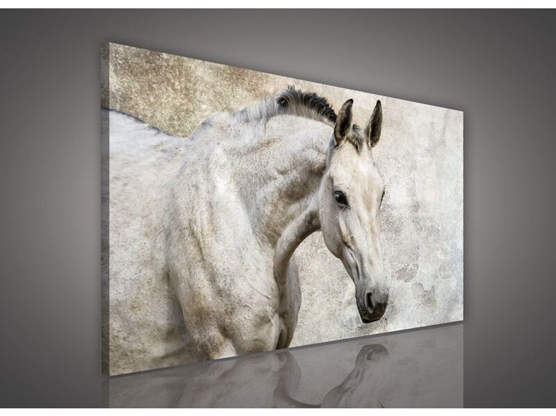 Paveikslas 0497 O1 Paveikslas 0497 O1