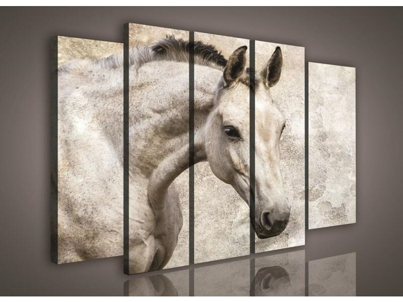 Paveikslas 0497 S12 Paveikslas 0497 S12