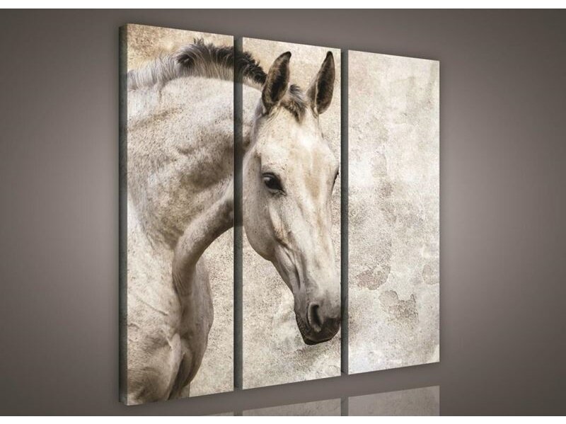 Paveikslas 0497 S6 Paveikslas 0497 S6