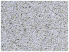 POLDECOR skysti tapetai TYP11 NR03