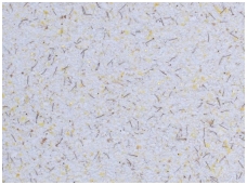 POLDECOR skysti tapetai TYP21 NR06