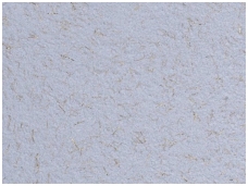 POLDECOR skysti tapetai TYP22 NR02