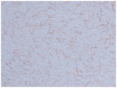 POLDECOR skysti tapetai TYP22 NR04