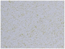 POLDECOR skysti tapetai TYP23 NR05
