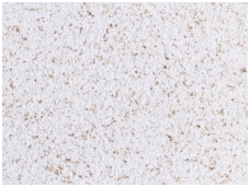 POLDECOR skysti tapetai TYP23 NR03