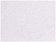 POLDECOR skysti tapetai TYP25 NR01