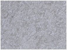 POLDECOR skysti tapetai TYP30 NR04
