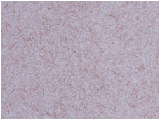 POLDECOR skysti tapetai TYP31 NR01