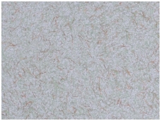 POLDECOR skysti tapetai TYP31 NR06