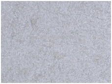 POLDECOR skysti tapetai TYP31 NR05