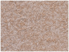 POLDECOR skysti tapetai TYP30 NR05