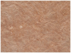 POLDECOR skysti tapetai TYP32 NR05