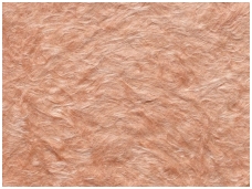 POLDECOR skysti tapetai TYP32 NR06