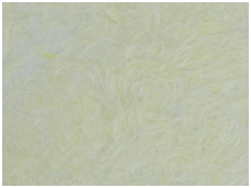 POLDECOR skysti tapetai TYP33 NR05