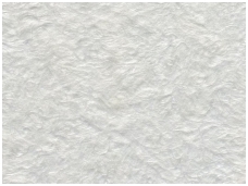 POLDECOR skysti tapetai TYP33 NR06