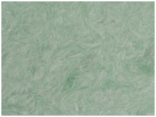 POLDECOR skysti tapetai TYP34 NR06