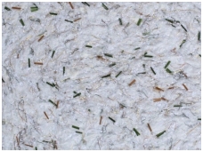 POLDECOR skysti tapetai TYP05 NR03