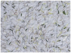 POLDECOR skysti tapetai TYP05 NR04