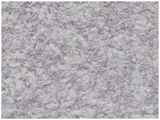 POLDECOR skysti tapetai TYP08 NR04