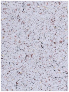 POLDECOR skysti tapetai TYP21 NR02