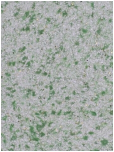 POLDECOR skysti tapetai TYP17 NR04