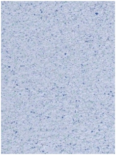 POLDECOR skysti tapetai TYP24 NR09