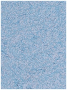 POLDECOR skysti tapetai TYP31 NR02