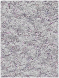 POLDECOR skysti tapetai TYP08 NR04