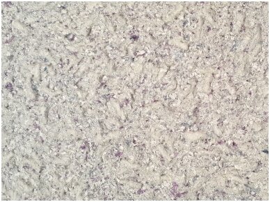 POLDECOR skysti tapetai TYP10 NR03 1