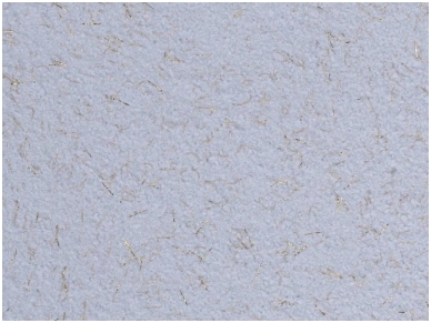 POLDECOR skysti tapetai TYP22 NR02