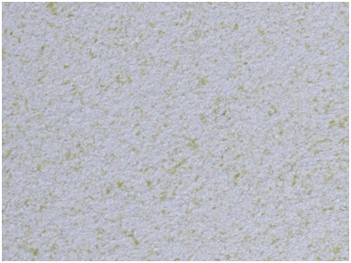 POLDECOR skysti tapetai TYP23 NR05