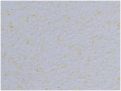POLDECOR skysti tapetai TYP23 NR02