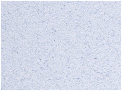 POLDECOR skysti tapetai TYP23 NR09