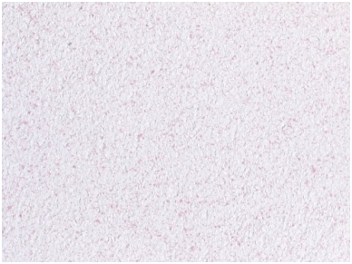 POLDECOR skysti tapetai TYP25 NR01