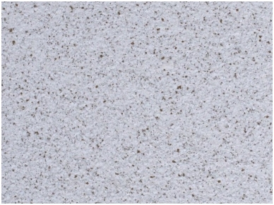 POLDECOR skysti tapetai TYP25 NR04